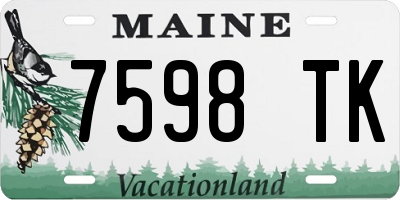 ME license plate 7598TK