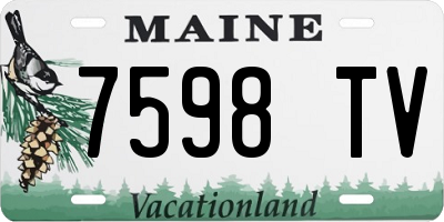 ME license plate 7598TV