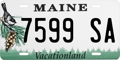 ME license plate 7599SA