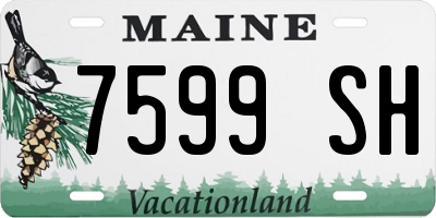 ME license plate 7599SH