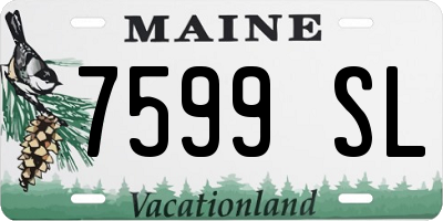 ME license plate 7599SL