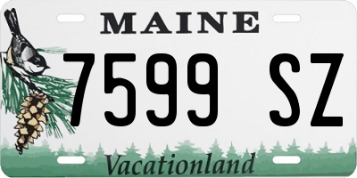 ME license plate 7599SZ