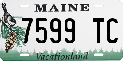ME license plate 7599TC
