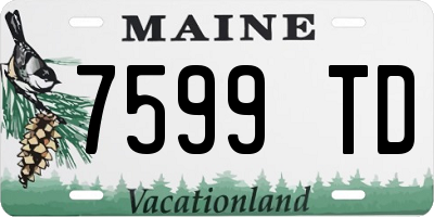 ME license plate 7599TD