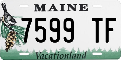 ME license plate 7599TF