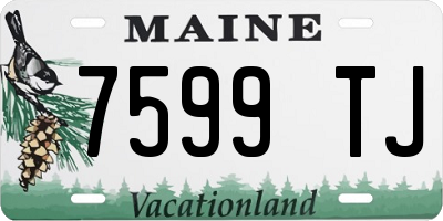 ME license plate 7599TJ