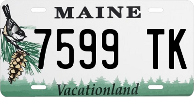 ME license plate 7599TK