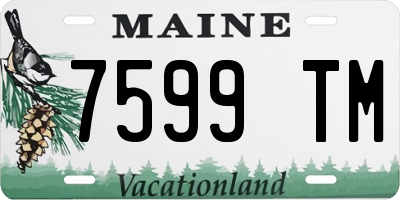 ME license plate 7599TM