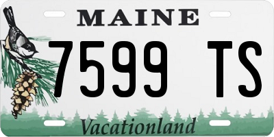 ME license plate 7599TS