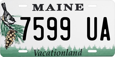 ME license plate 7599UA