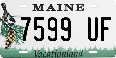 ME license plate 7599UF