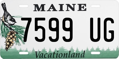 ME license plate 7599UG