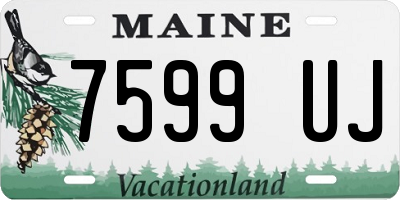 ME license plate 7599UJ