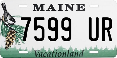 ME license plate 7599UR