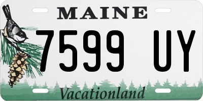 ME license plate 7599UY