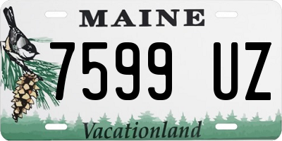 ME license plate 7599UZ