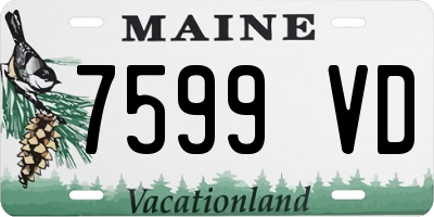 ME license plate 7599VD