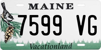 ME license plate 7599VG