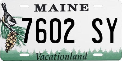 ME license plate 7602SY
