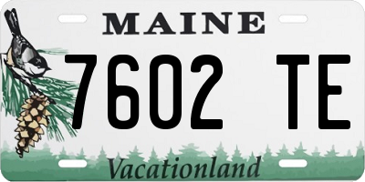 ME license plate 7602TE