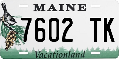 ME license plate 7602TK
