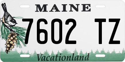 ME license plate 7602TZ