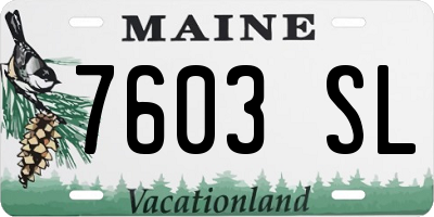 ME license plate 7603SL