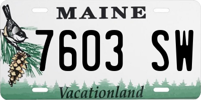 ME license plate 7603SW