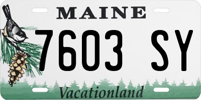 ME license plate 7603SY