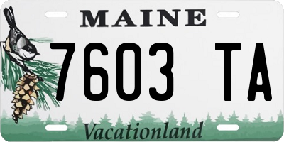 ME license plate 7603TA