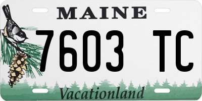 ME license plate 7603TC