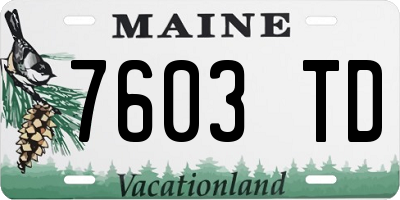 ME license plate 7603TD