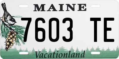 ME license plate 7603TE