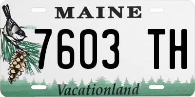 ME license plate 7603TH
