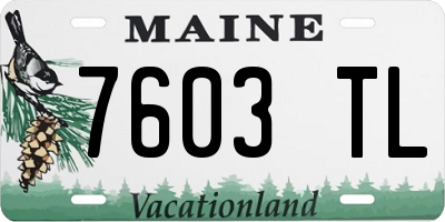 ME license plate 7603TL