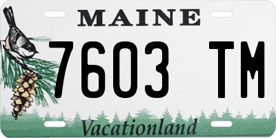 ME license plate 7603TM