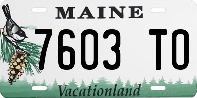 ME license plate 7603TO
