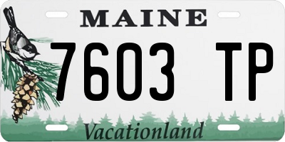 ME license plate 7603TP