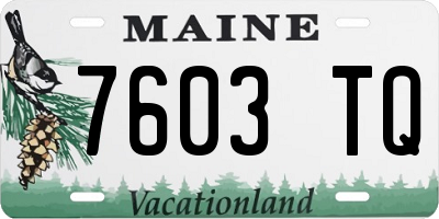 ME license plate 7603TQ