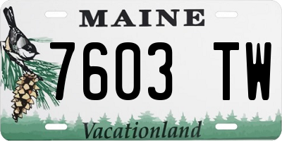 ME license plate 7603TW