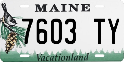 ME license plate 7603TY
