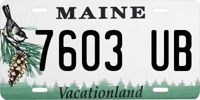 ME license plate 7603UB