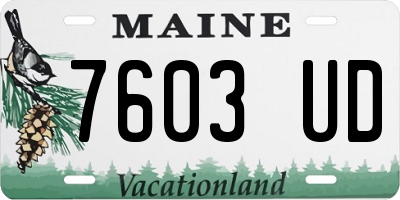 ME license plate 7603UD