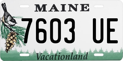 ME license plate 7603UE
