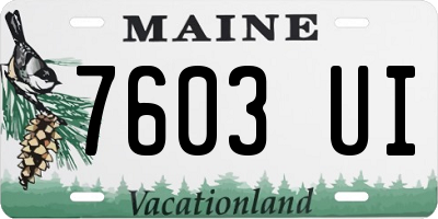 ME license plate 7603UI