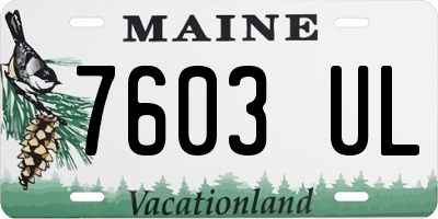 ME license plate 7603UL