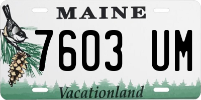 ME license plate 7603UM