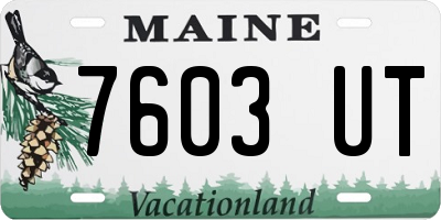 ME license plate 7603UT