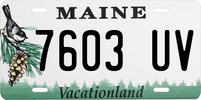 ME license plate 7603UV