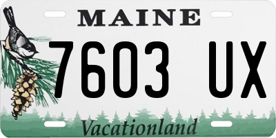 ME license plate 7603UX